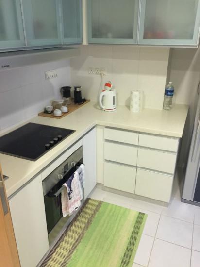 One Oxley Rise (D9), Apartment #102891182